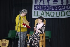 Llandudoch14