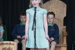 Llandudoch2