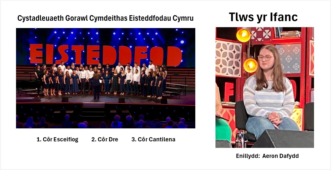 Enillwyr cystadlaethau CEC